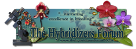 thehybridizersforum.com