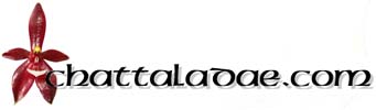 chattaladae.com